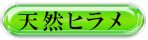 天然ヒラメ