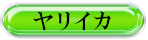 ヤリイカ