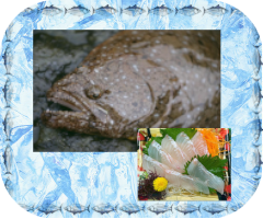 天然ヒラメ
